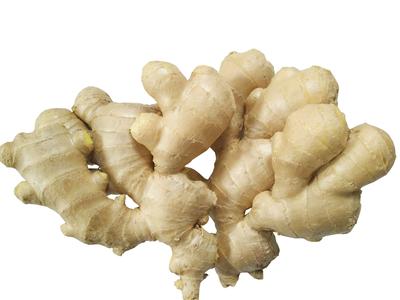 Ginger