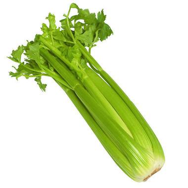 Celery