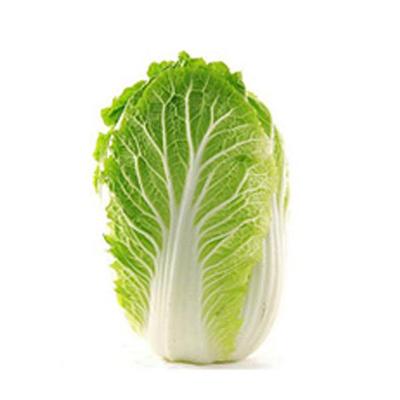 Chinese Cabbage