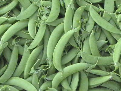 Sugar Snap Pea