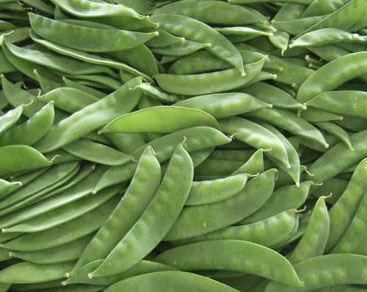 Snow Pea