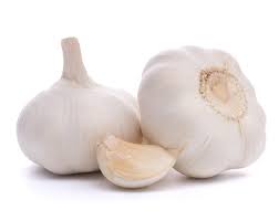 Garlic