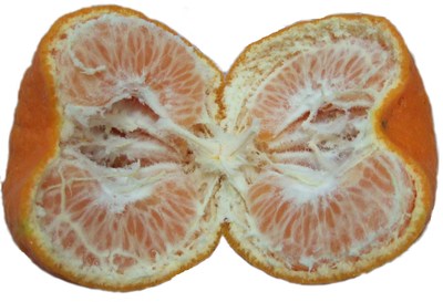 Mandarin Orange