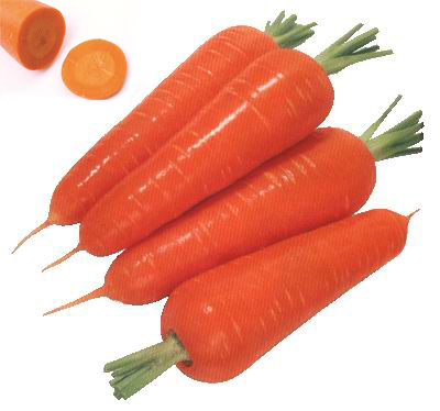 Carrot